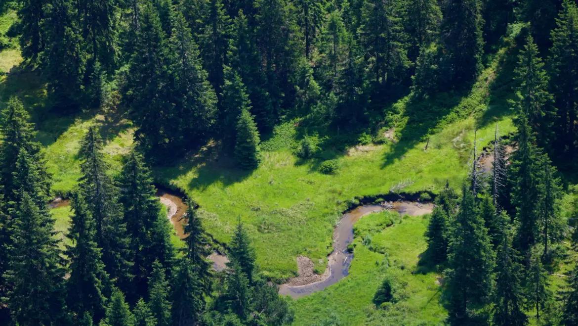 Objevte Krkonoše: klenot české přírody