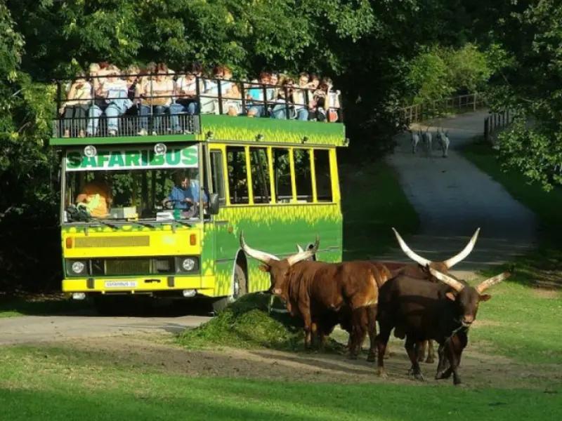 ZOO a safari park Dvůr Králové nad Labem
