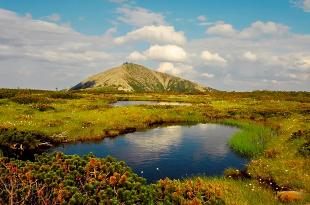 od Luční boudy (1 410&nbsp;m n.m.) přes&nbsp;Úpská rašeliniště
