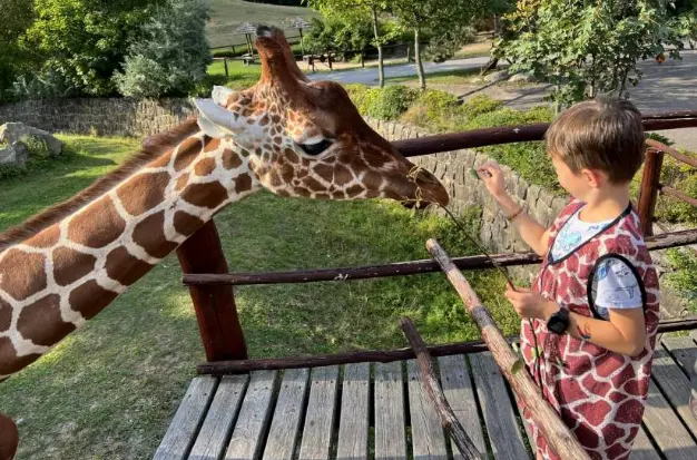 ZOO a safari park Dvůr Králové nad Labem