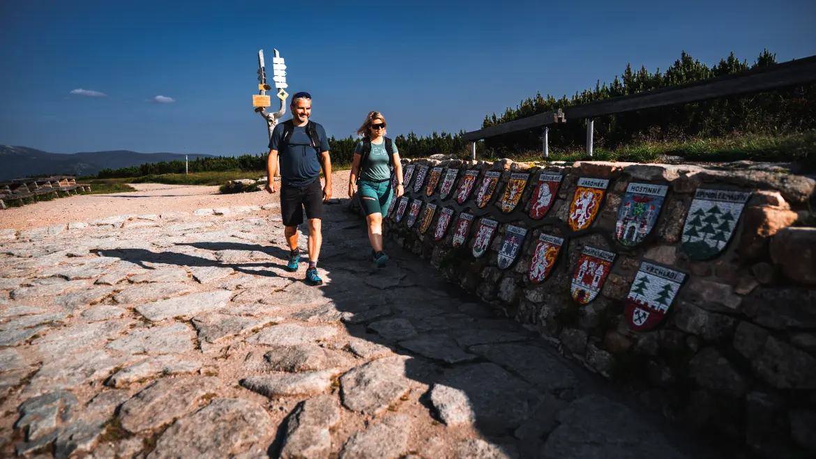 Pramen Labe v Krkonoších