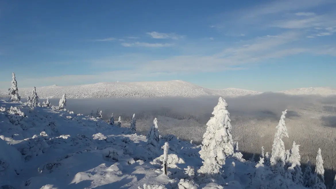 Skialpová trasa od Medvědího Kolene