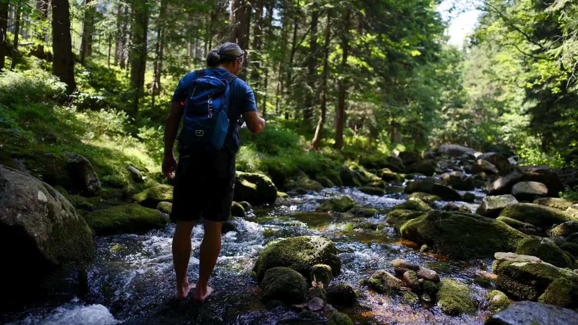 Turistická trasa Špindlerův Mlýn - Labský důl